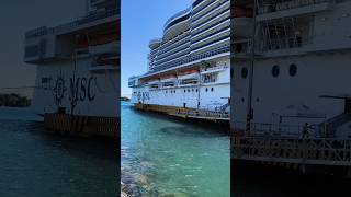 😱🫸Wait For End...🫷Ship On Port #viewersloverviews #cruise #cruisetour #cruiseship #shorts #travel