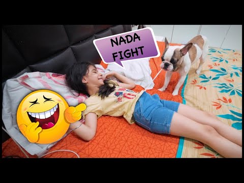 Bunny and Guneet Nada Fight 😆 Family and Dog Videos | Harpreet SDC
