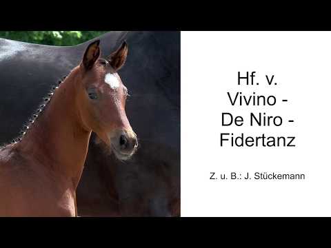Hf v Vivino x De Niro x Fidertanz 2020