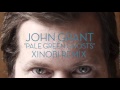 John Grant - Pale Green Ghosts (Xinobi Remix ...