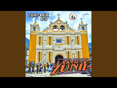 Zuni Mix 17: Mejor Me Voy / Te Vas Angel Mio / Que Tal Si Eres Tú / El Último en la Fila /...