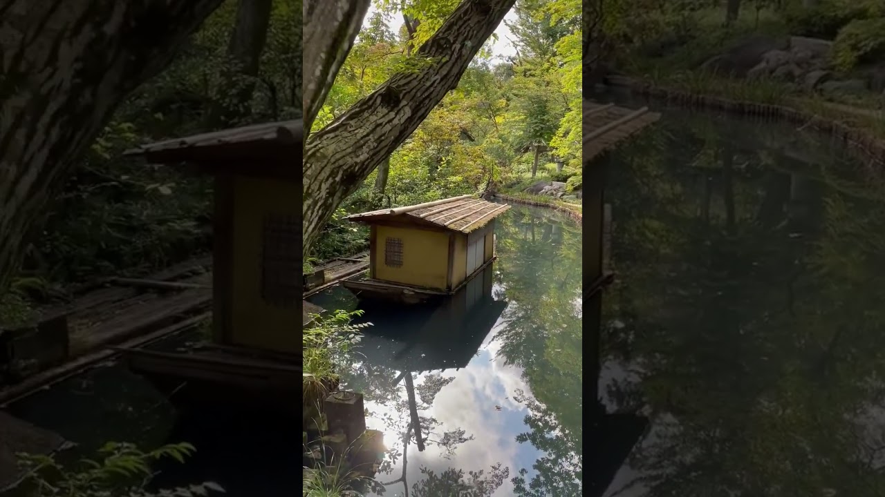 YouTube Short thumbnail