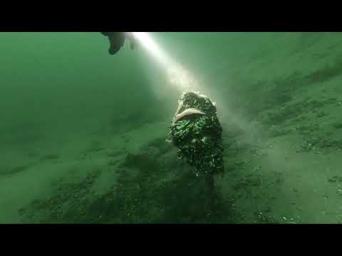 Duik Put van Ekeren (2022.02.27) #bubbledivers