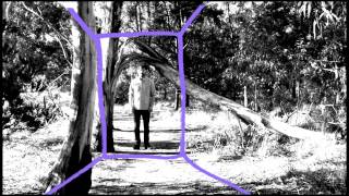 Love of Diagrams - Double Negative (Official Video)