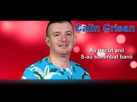Calin Crisan - Au trecut anii, s-au schimbat banii
