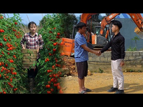 While the homeless girl was busy earning money, Hung found someone to help her dig a pond.