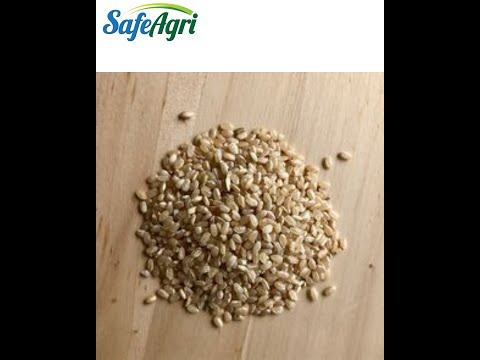 Round brown rice, 5 kg