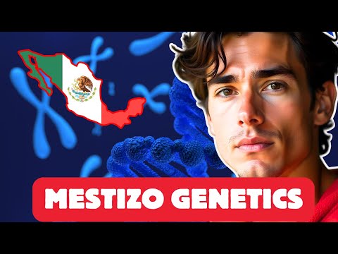 Scientists Challenge Mestizo Genetic Origins With New Data