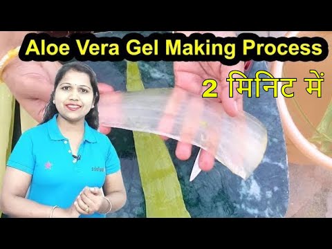 Aloe Vera Gel Making Process