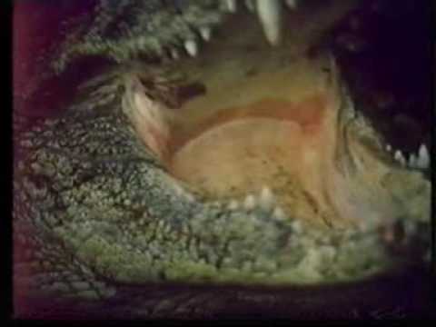 Horror Safari (1982) Produzione: Dick Randall - Trailer