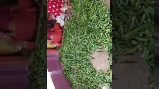 Covid 19 - Distributed 11 quintal vegetables to the needy people in Khammam