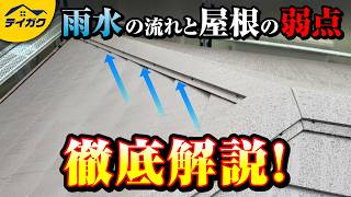 【屋根の役割】屋根に雨の日にのぼって雨水の流れを撮影して解説