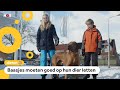 Zo overleven huisdieren de kou