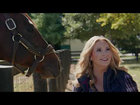 VisitLEX Presents: The World's First Travel Review By Horses