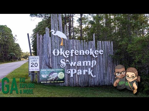 Hangin' With Gators at Okefenokee Swamp Park - Hiking & Exploration