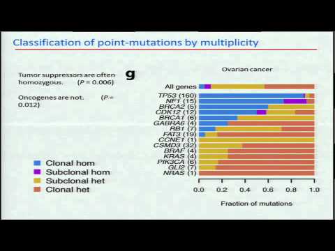 Absolute Quantification of Somatic DNA Alterations in Human Cancer - Scott Carter