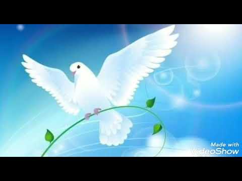 Cea mai frumoasă interpretare a Rugăciunii: "Tatăl Nostru"