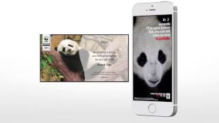 WWF / Grey EMEA