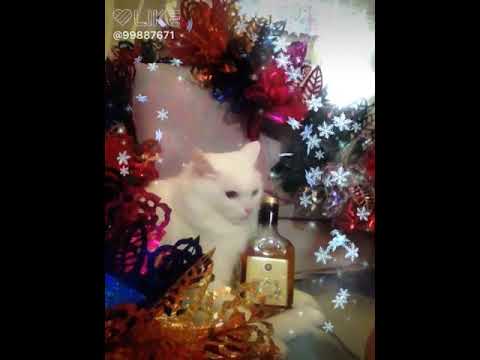 Россия пока не бухнут!