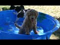 Thumbnail image 28