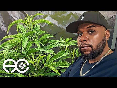 How To Start A Cannabis Grow With A Clone + First 3 Weeks of Veg - Infinity Grow: S7 EP1