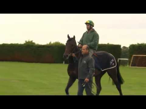 Jean Claude Rouget ahead of the QIPCO Irish Champion Stakes