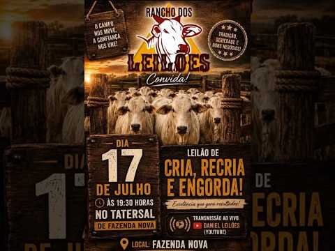 Fazenda Nova - GO   17/07/2026
