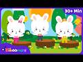 Bunny Hop Dance Party 30 Minutes Of Easter Action Songs For Kids The Kiboomers