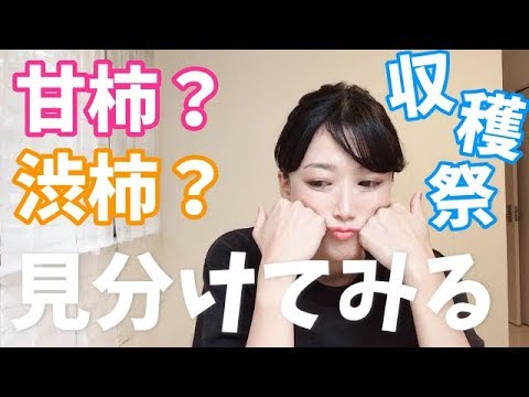 柿、柿、シャロンの違いは何ですか? 庭の練習