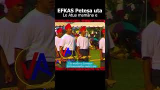 EFKAS Petesa uta - LE ATUA MAMANA E! (with lyrics)