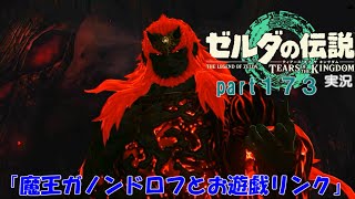 ゼルダの伝説ティアーズオブザキングダム実況part173