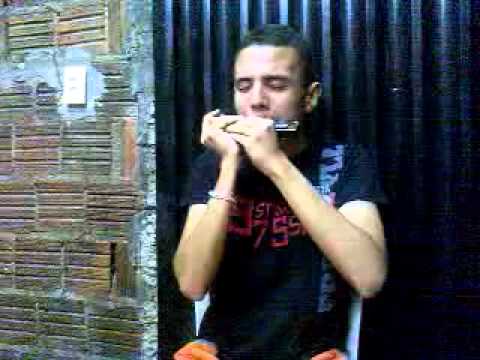 Gaita de Boca Cromática | O Auto da Compadecida( O Pulo da gaita ) | Original