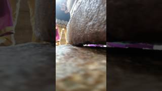 preview picture of video 'Hanging pillar lepakshi temple Andhra pradesh'