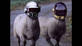 Matmatah - Les Moutons (Jack Essek Edit)