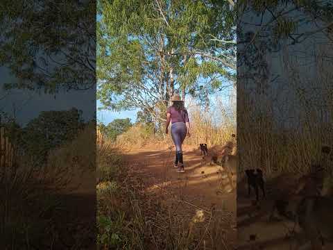 Caminhada sertaneja Comunidade Santa Rita município Vianópolis Goiás Brasil