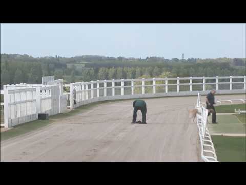 Towcester TV Live Stream - May 13, 2017 PM