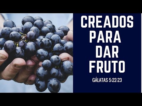 download lagu mp3 mp4 Galatas 5 23, download mp3 Galatas 5 23 free downloadn, video klip Galatas 5 23