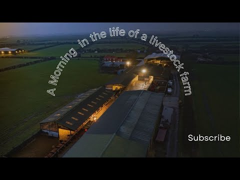Before the Day Starts | Early Morning Feeding on a Lincolnshire Farm