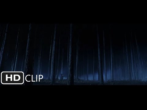 哈利波特與魔法石之禁忌森林 (The Forbidden Forest | Harry Potter and the Sorcerer's Stone)