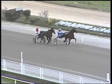 Trotto 05/03/2015 - prova di qualifica