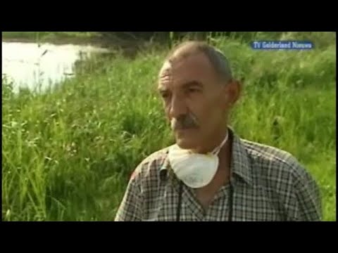 GLD Nieuws 29 juli 2008 - Nieuws