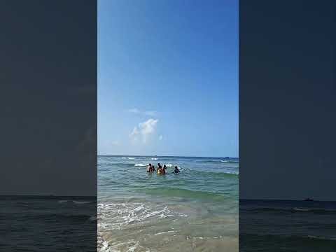 Morning @Colva Beach. #goa #india #shorts #feed #subscribe