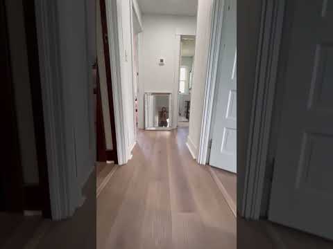 Must-See 4 BR/1.5 BA off-campus home property video