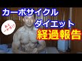 カーボサイクルダイエット(ジグザグダイエット)経過報告!残りはあと一か月!?