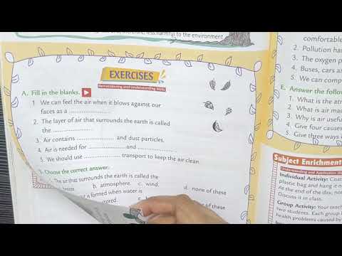 Class 3 EVS: Lesson 17 We Need Clean Air(exercise)