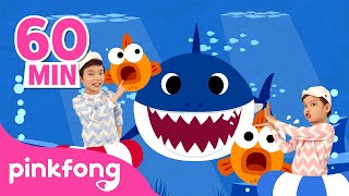 Download lagu Baby Shark 1 Jam | Lagu Baby Shark original | Pinkfong Baby Shark mp3 Download lagu Baby Shark 1 Jam | Lagu Baby Shark original | Pinkfong Baby Shark mp3