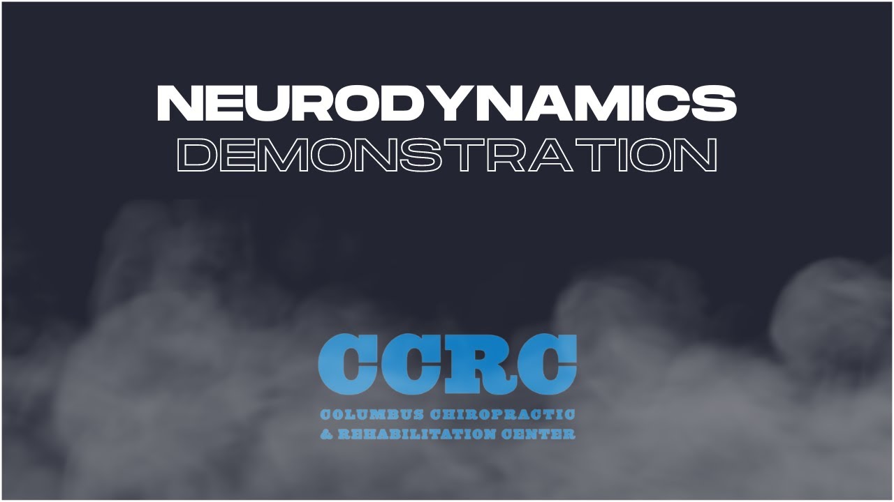 Neurodynamics - Demonstration