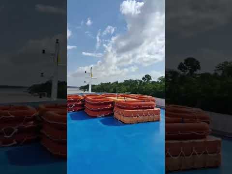 MAR DE ÁGUA DOCE!#viralshort #naturezasurpreendente #shortsvide #nature #rio #amapá #macapá