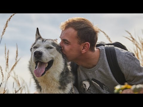 Szybki Retusz Skóry z Użyciem Frequency Separation - Photoshop