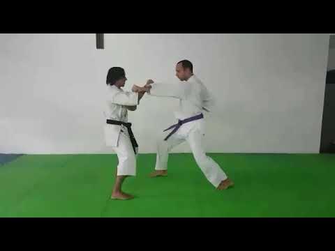 Naihanchi sandan kata bunkai shinshukan shorin ryu